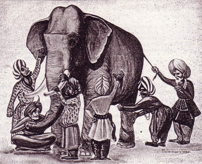 How Can a Team See the Elephant?